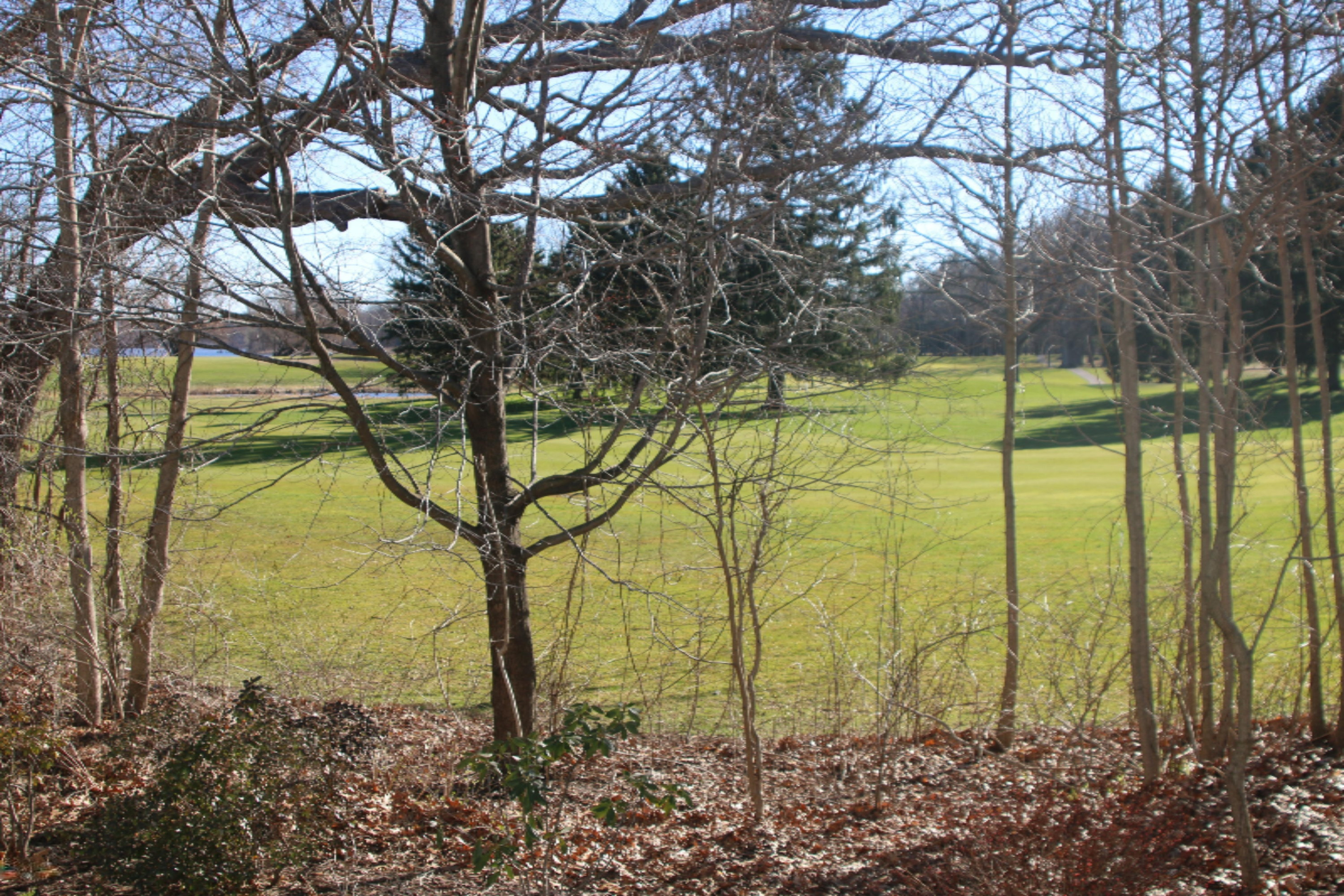 17510 North Fruitport Road Spring Lake, MI 49456 - Photo 5 of 23 Golf Course