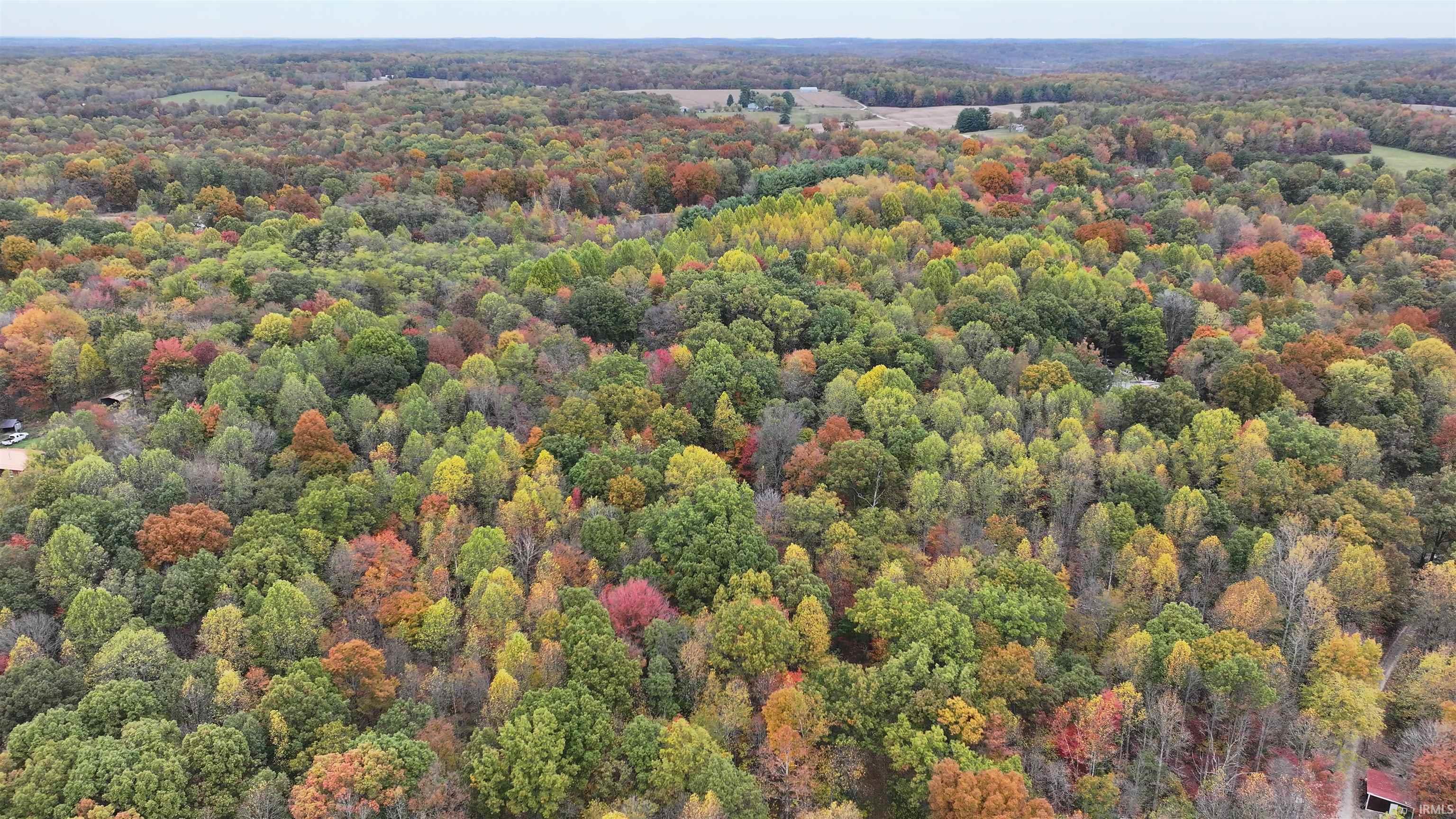 2 East St Road Bloomfield, IN 47424 - Photo 3 of 4