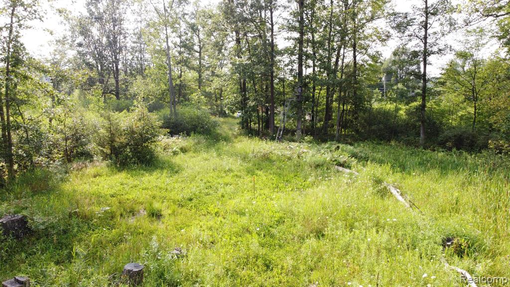 4311 Pinckney Road Howell, MI 48843 - Photo 12 of 14