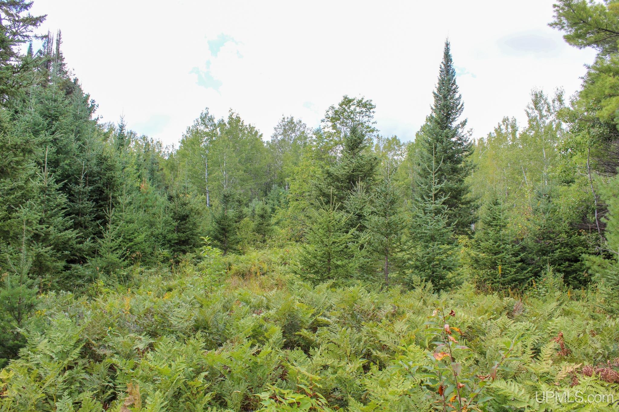 Tbd Michaelson Road Pelkie, MI 49958 - Photo 63 of 73 Gallery Image 63