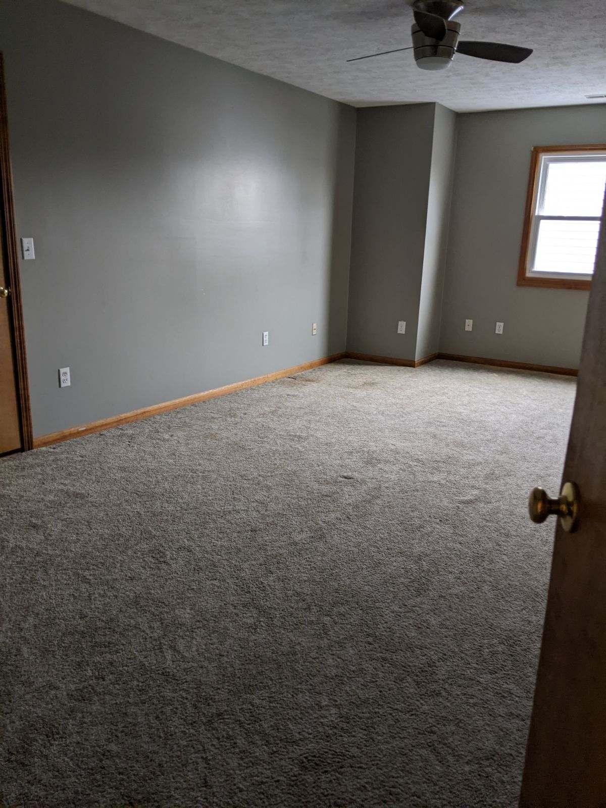 3786 West 950 South Pendleton, IN 46064 - Photo 28 of 38