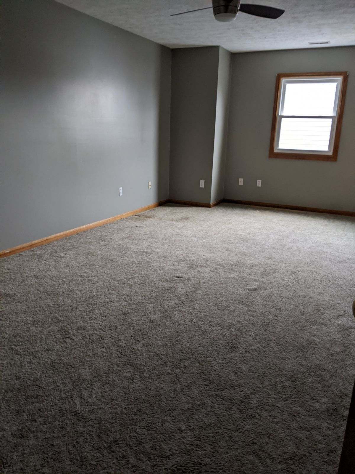 3786 West 950 South Pendleton, IN 46064 - Photo 30 of 38