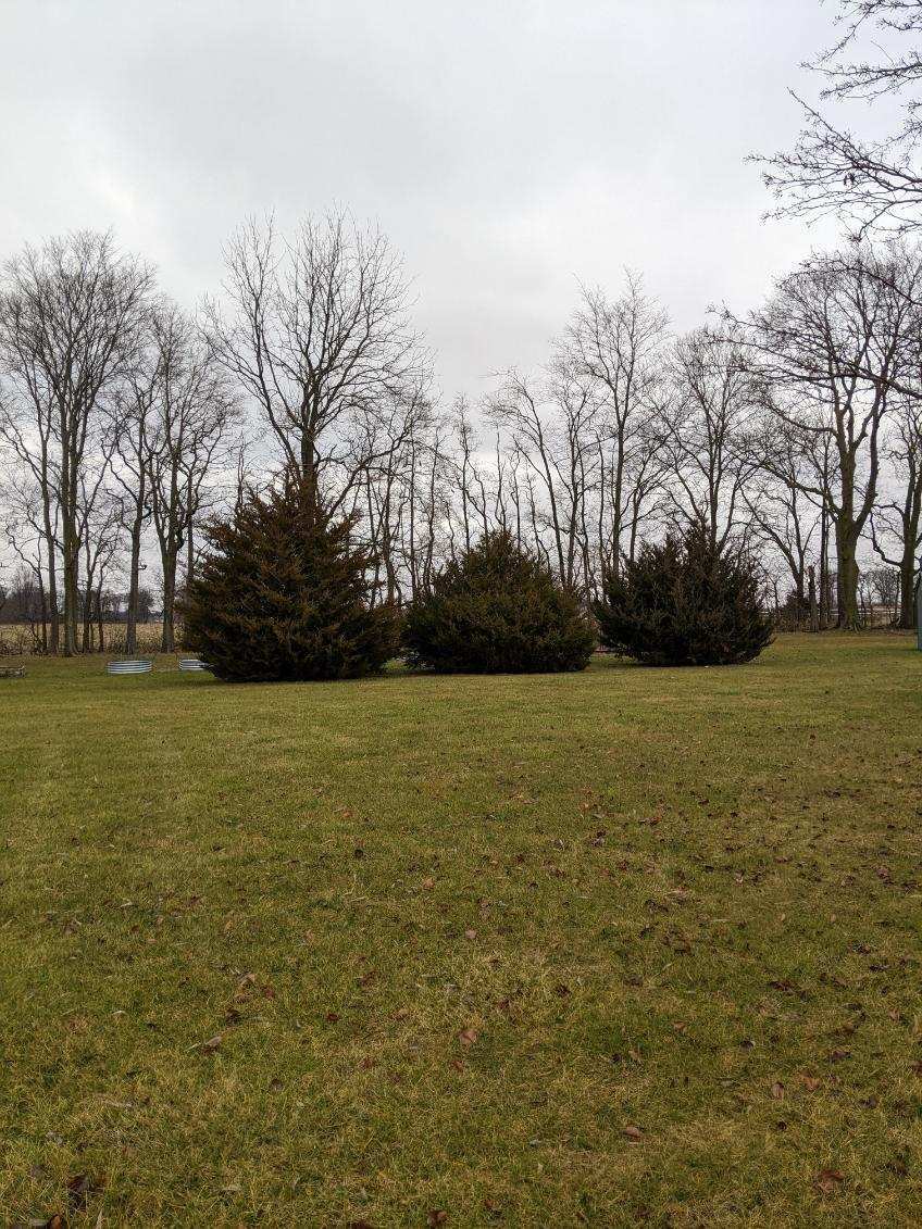 3786 West 950 South Pendleton, IN 46064 - Photo 7 of 38