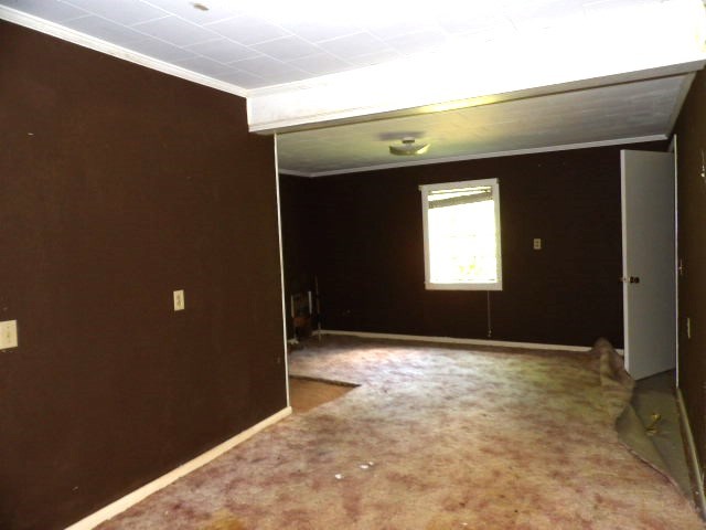 1705 County Road 119 Abbeville, AL 36310 - Photo 6 of 16