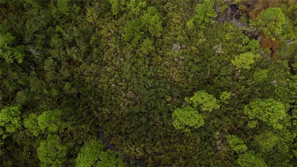 a view of a lake with a city view