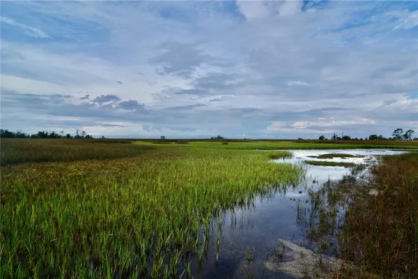 a view of a lake with a yard