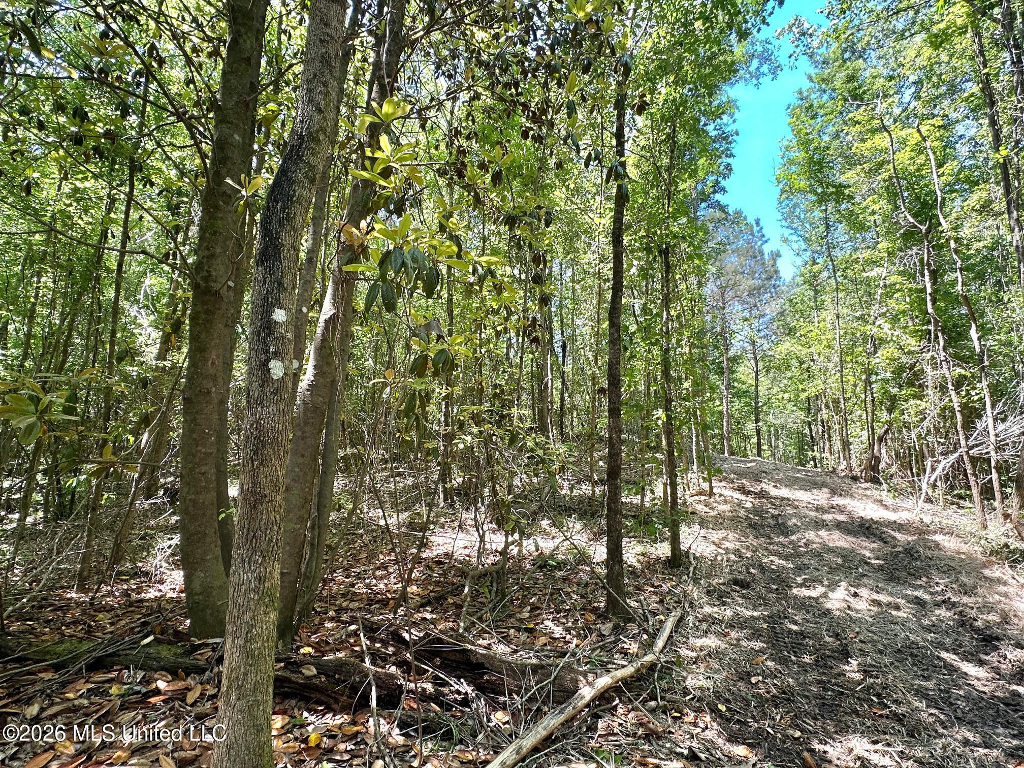 0 Mcnair Springs Road Magee, MS 39111 - Photo 19 of 25 19