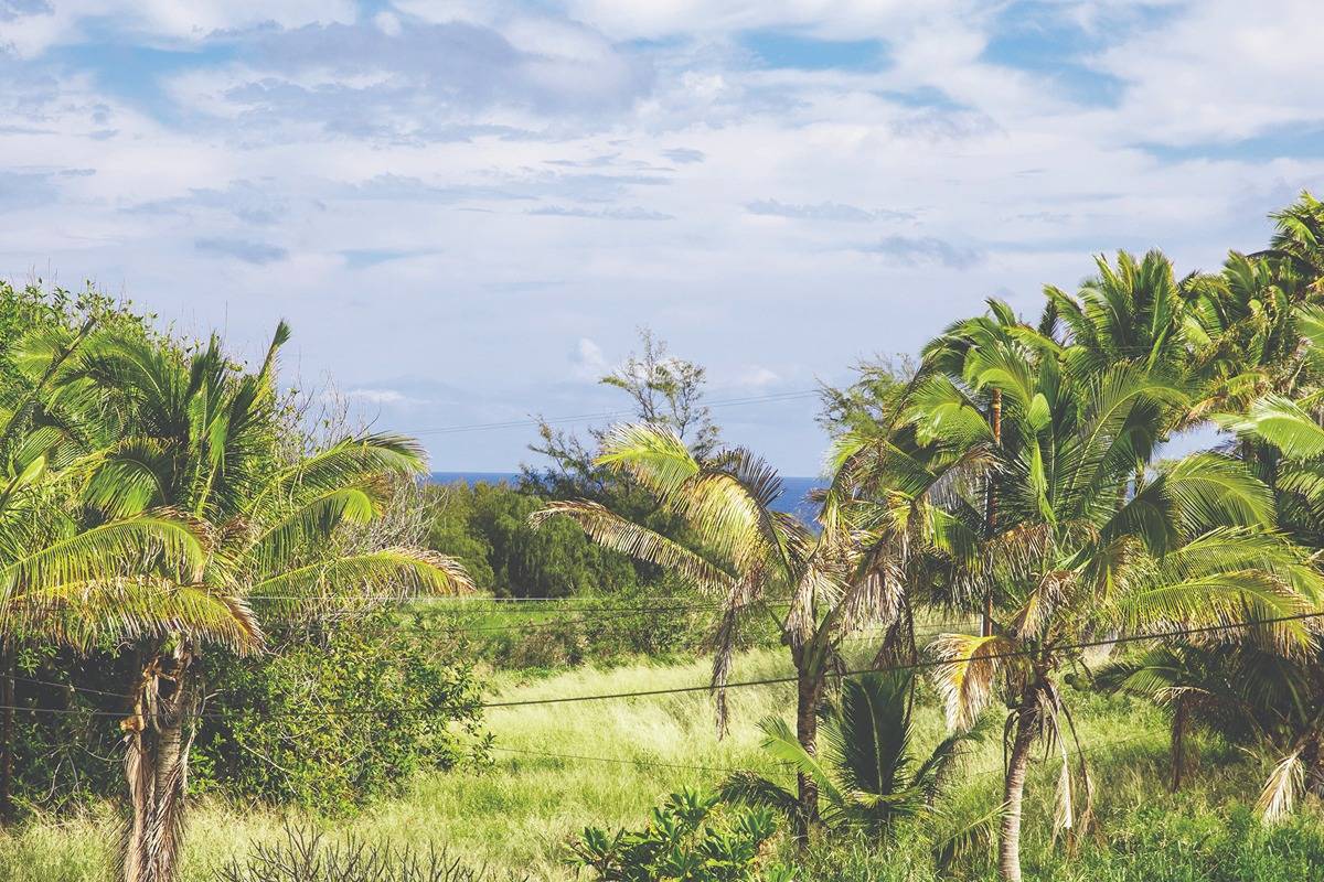 52-215 Bus Road Kapaau, HI 96755 - Photo 20 of 20