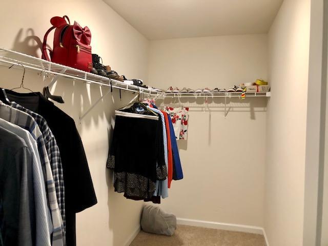 13 Half-Hitch Road Barnegat, NJ 08005 - Photo 10 of 21 13 Half Hitch owners suite walk in close