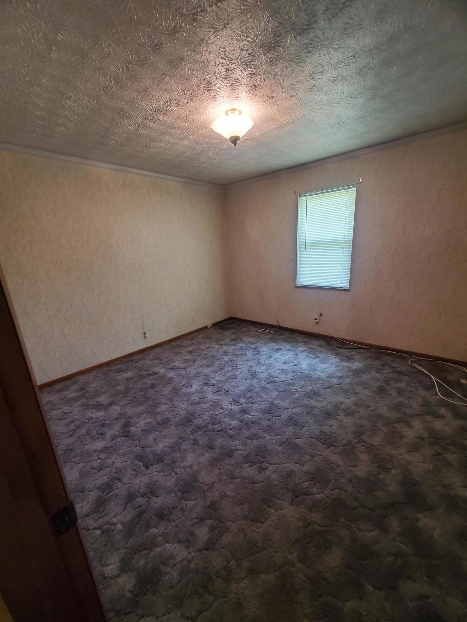 817 Hickory Valley Road Maynardville, TN 37807 - Photo 22 of 33 20210604_135137