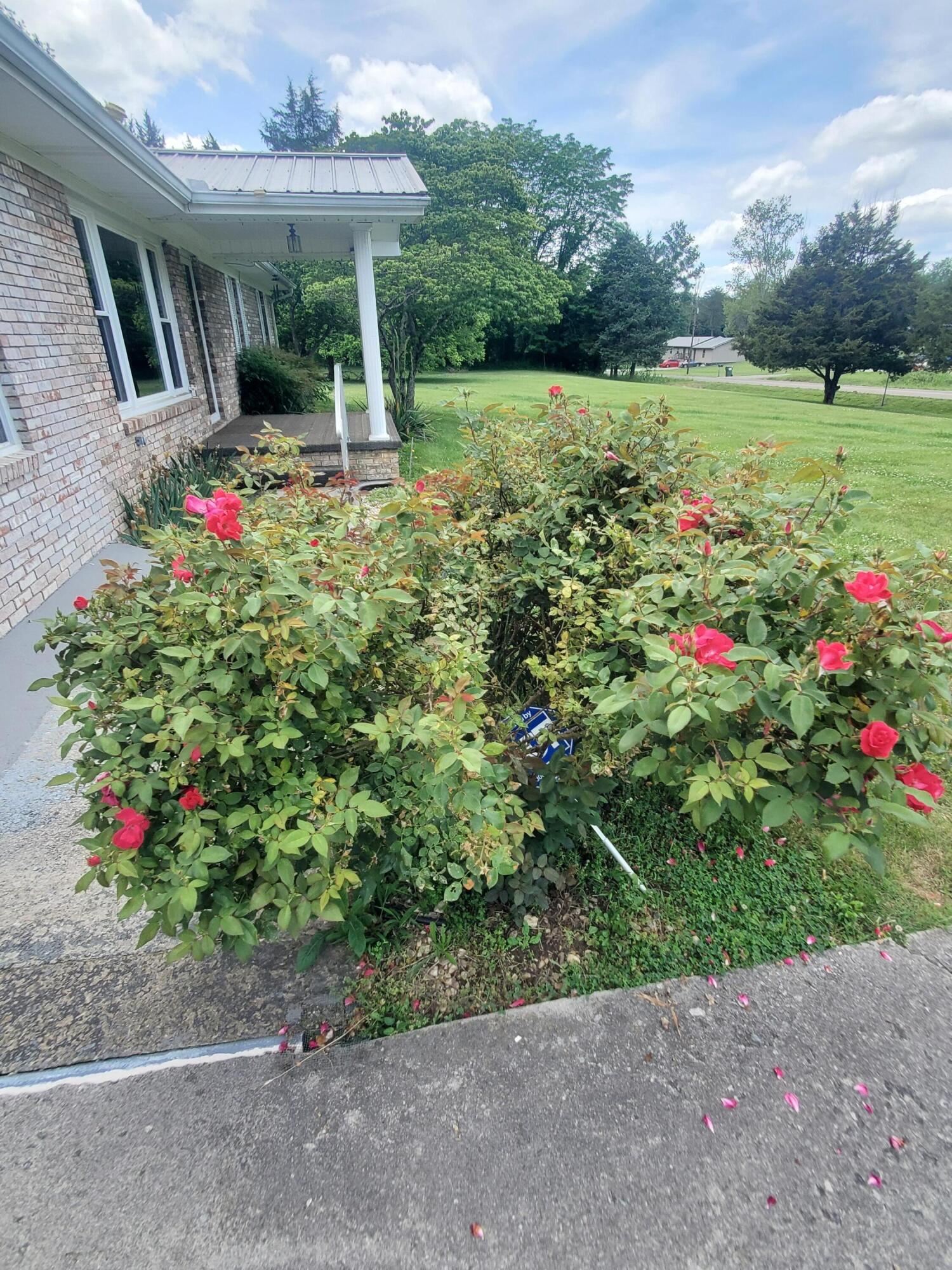 817 Hickory Valley Road Maynardville, TN 37807 - Photo 4 of 33 20210604_135840