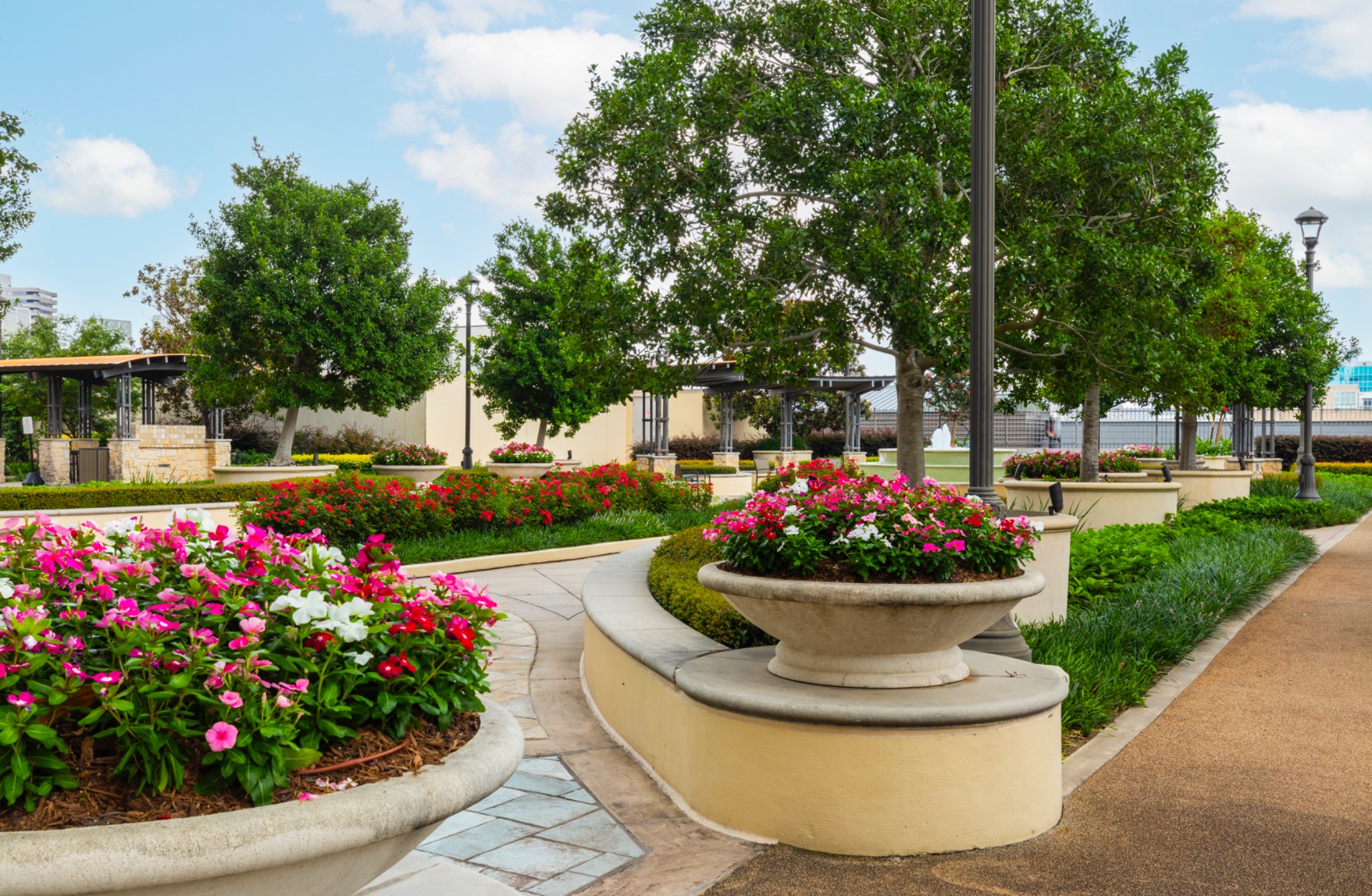 1111 Hermann Drive, Unit 28D Houston, TX 77004 - Photo 31 of 49 a view of a flowers in a garden