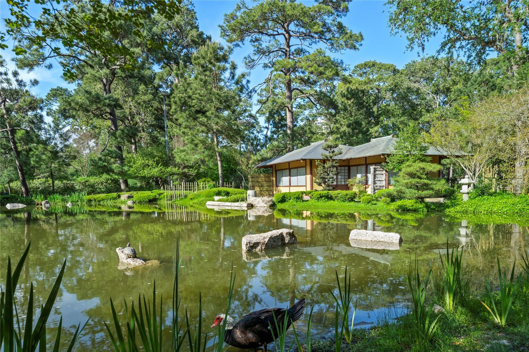 1111 Hermann Drive, Unit 28D Houston, TX 77004 - Photo 39 of 49 a view of a house with backyard outdoor seating and hardwood