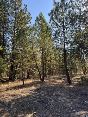 $245,000 | 13 Cassia Court, Unit 41, McCall, ID 83638