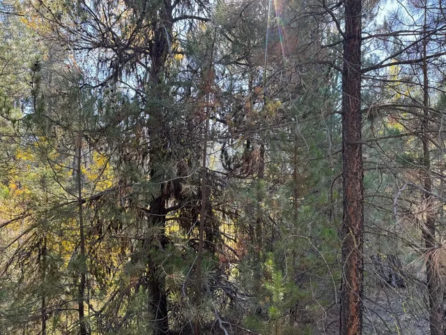 $245,000 | 13 Cassia Court, Unit 41, McCall, ID 83638