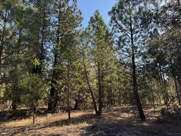 $245,000 | 13 Cassia Court, Unit 41, McCall, ID 83638