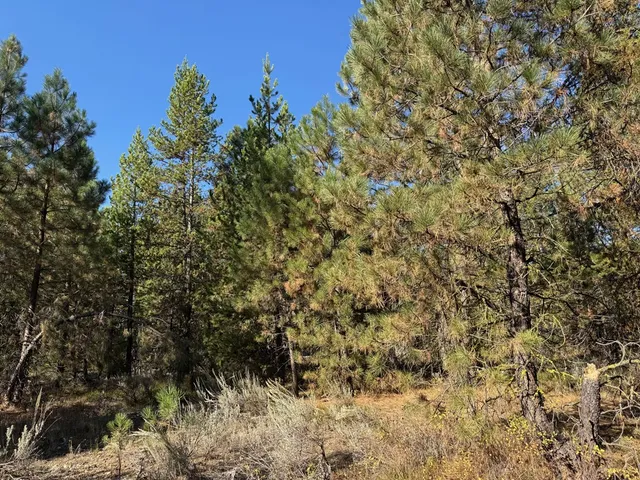 $245,000 | 13 Cassia Court, Unit 41, McCall, ID 83638