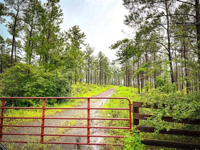 $156,750 | 3 Cr 257 / Cr, Jasper, TX 75951