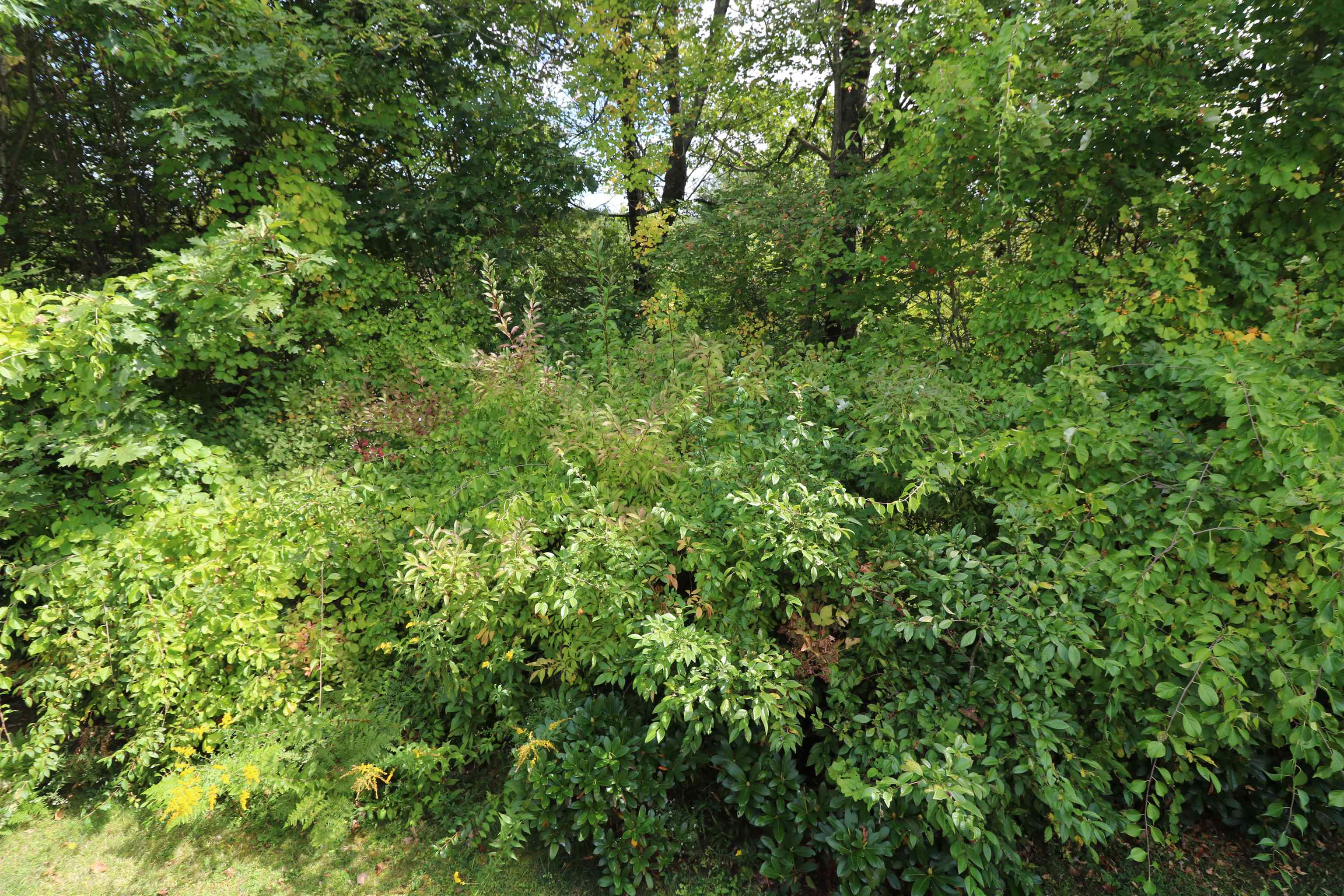 45 Summit Drive Jaffrey, NH 03452 - Photo 31 of 33