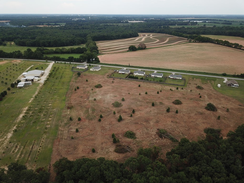 16.14-ac Lees Bridge Road Midland City, AL 36350 - Photo 25 of 28