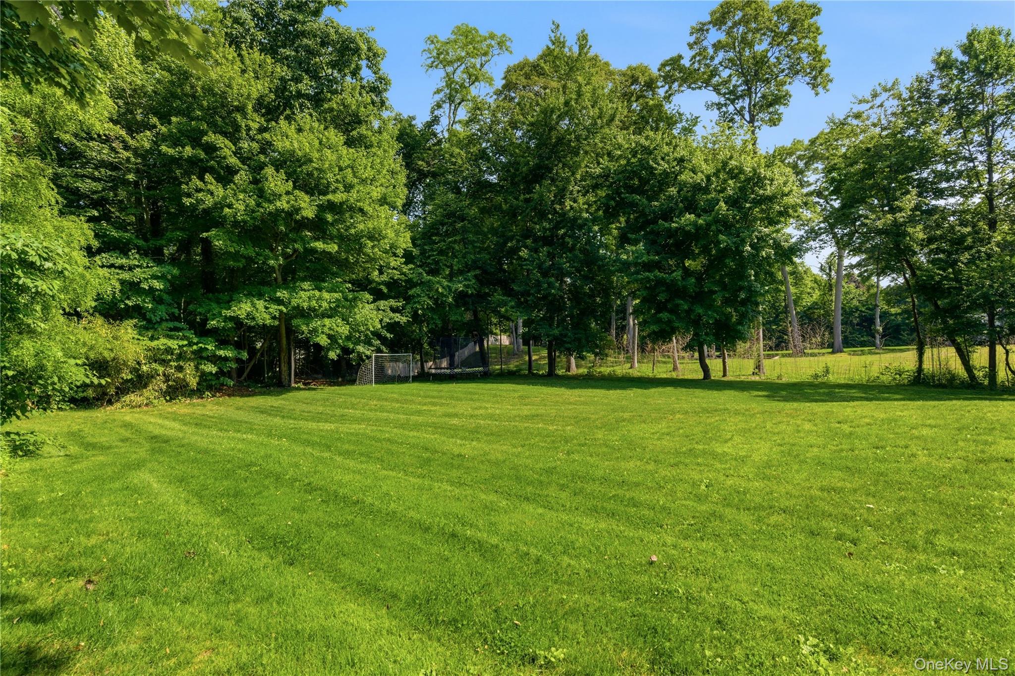431 Woodbury Road Cold Spring Harbor, NY 11724 - Photo 18 of 26