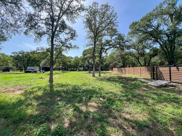 a view of a park with large trees