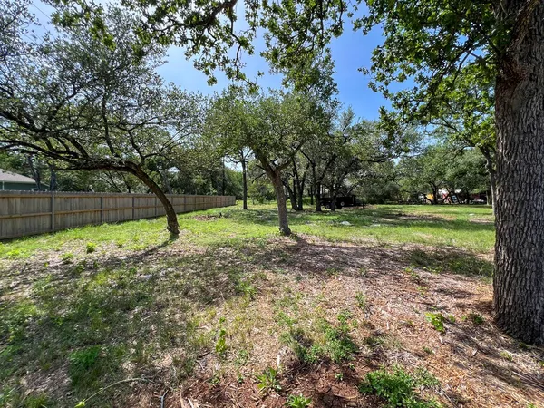 a view of a tree in a park