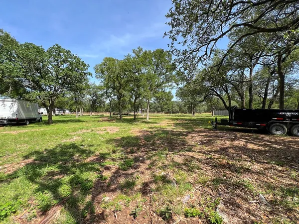 a view of a park with large trees