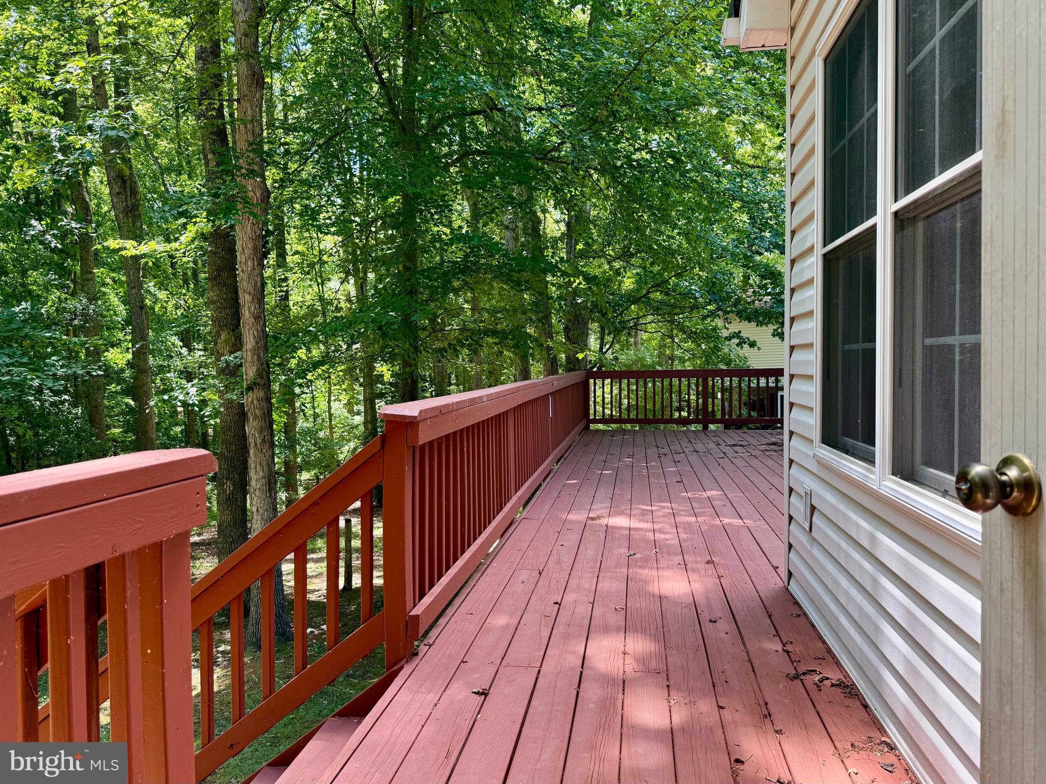 421 Birdie Road Locust Grove, VA 22508 - Photo 6 of 49