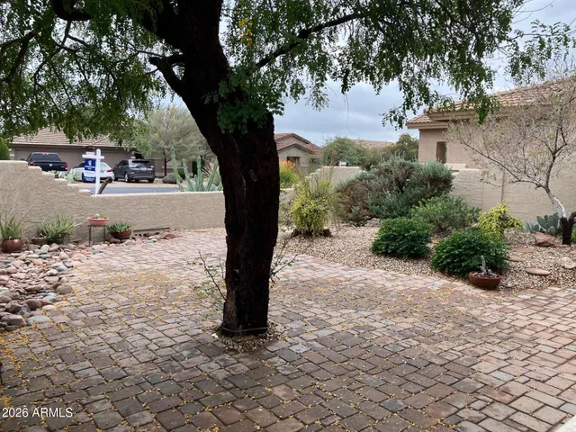 a street view with large trees