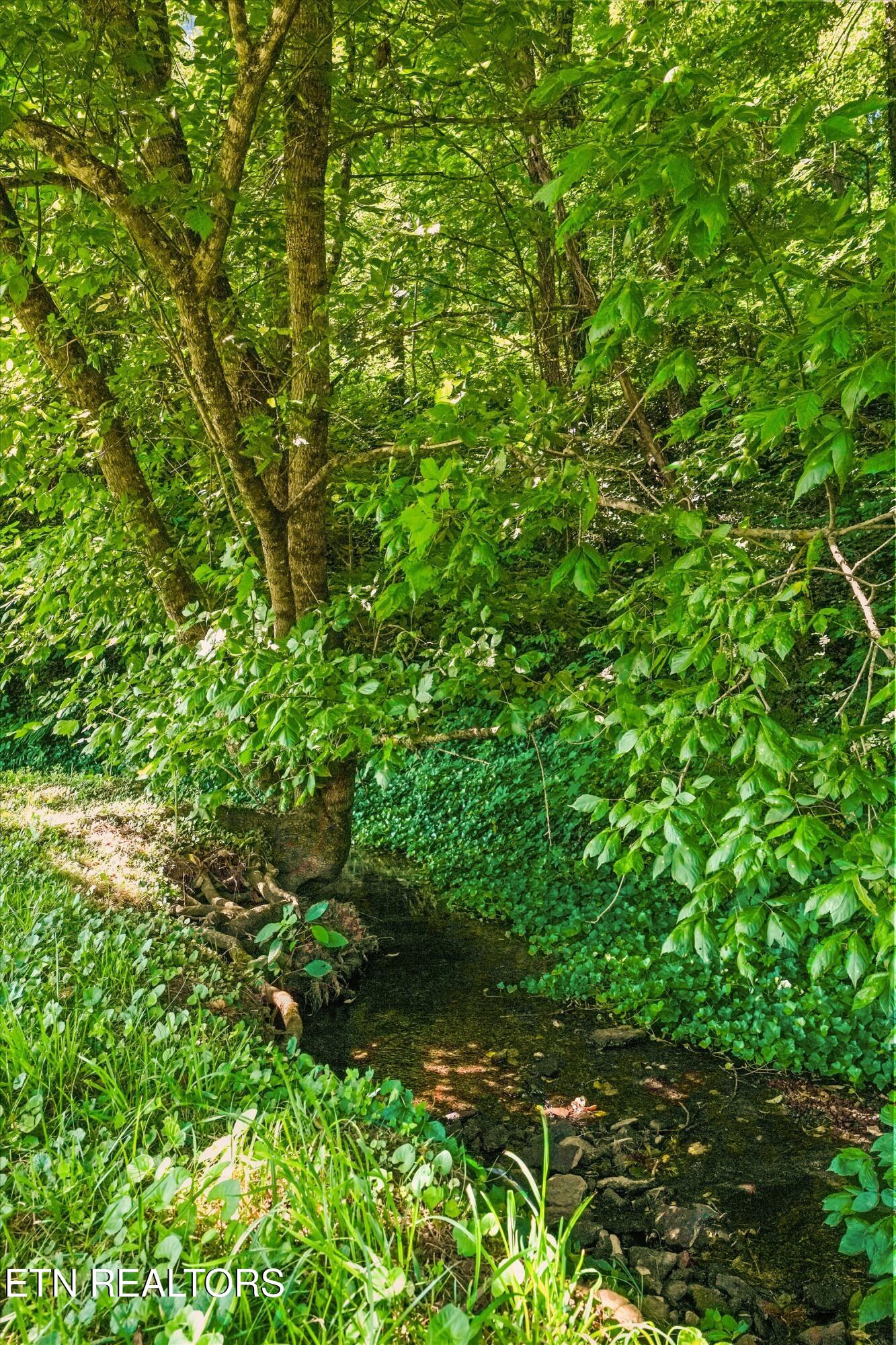 2974 Stoney Gap Road Sneedville, TN 37869 - Photo 23 of 32 38-2974 Stoney Gap Rd 35