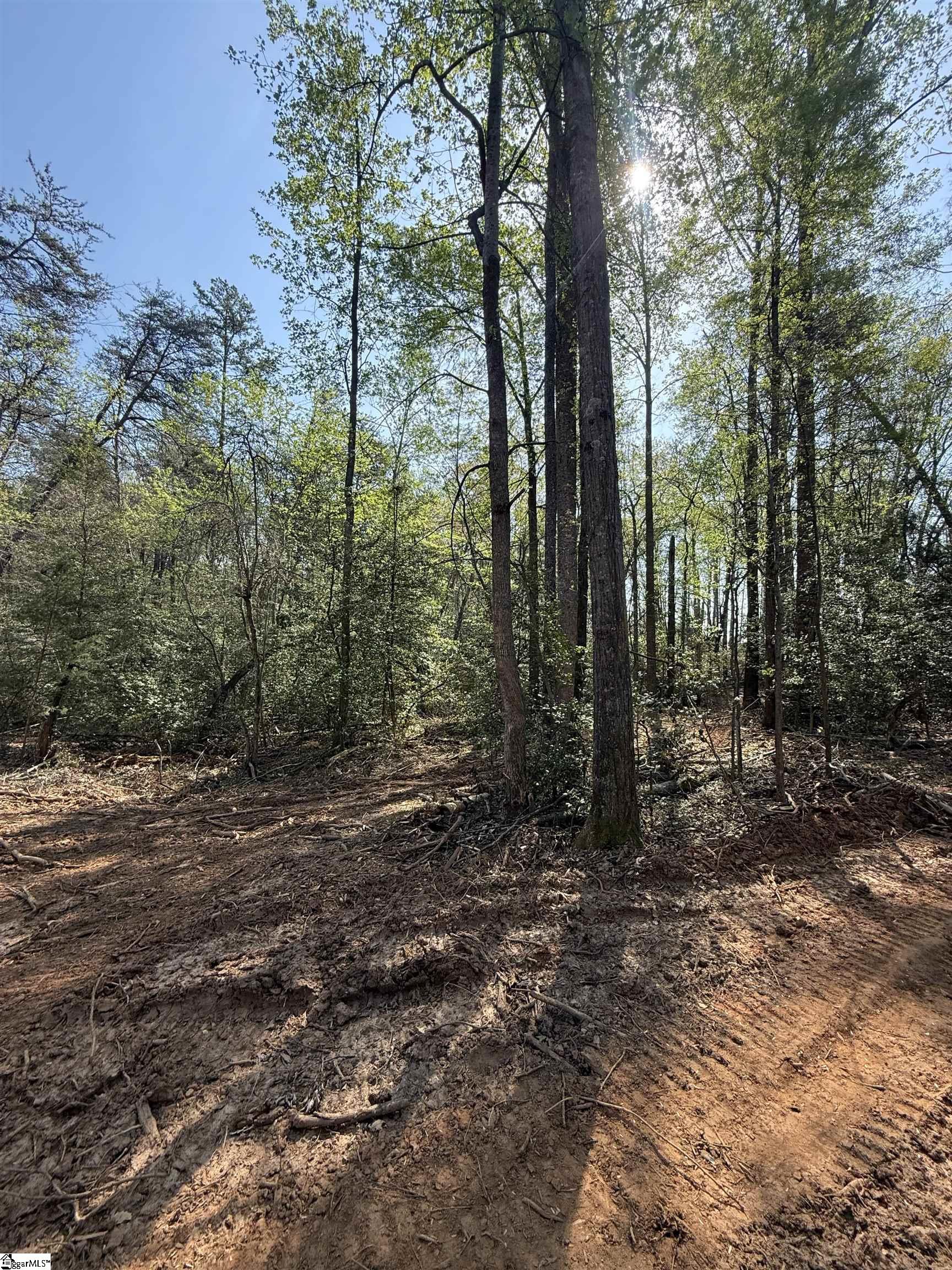 0 Thompson Road Greer, SC 29651 - Photo 24 of 31