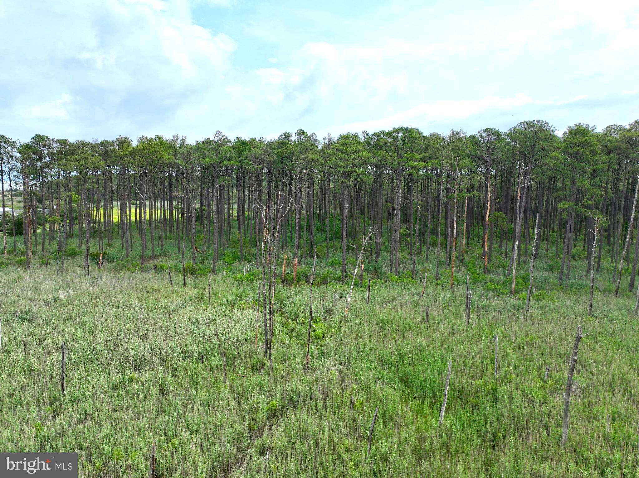 0 Hooper Neck Road Madison, MD 21648 - Photo 35 of 129
