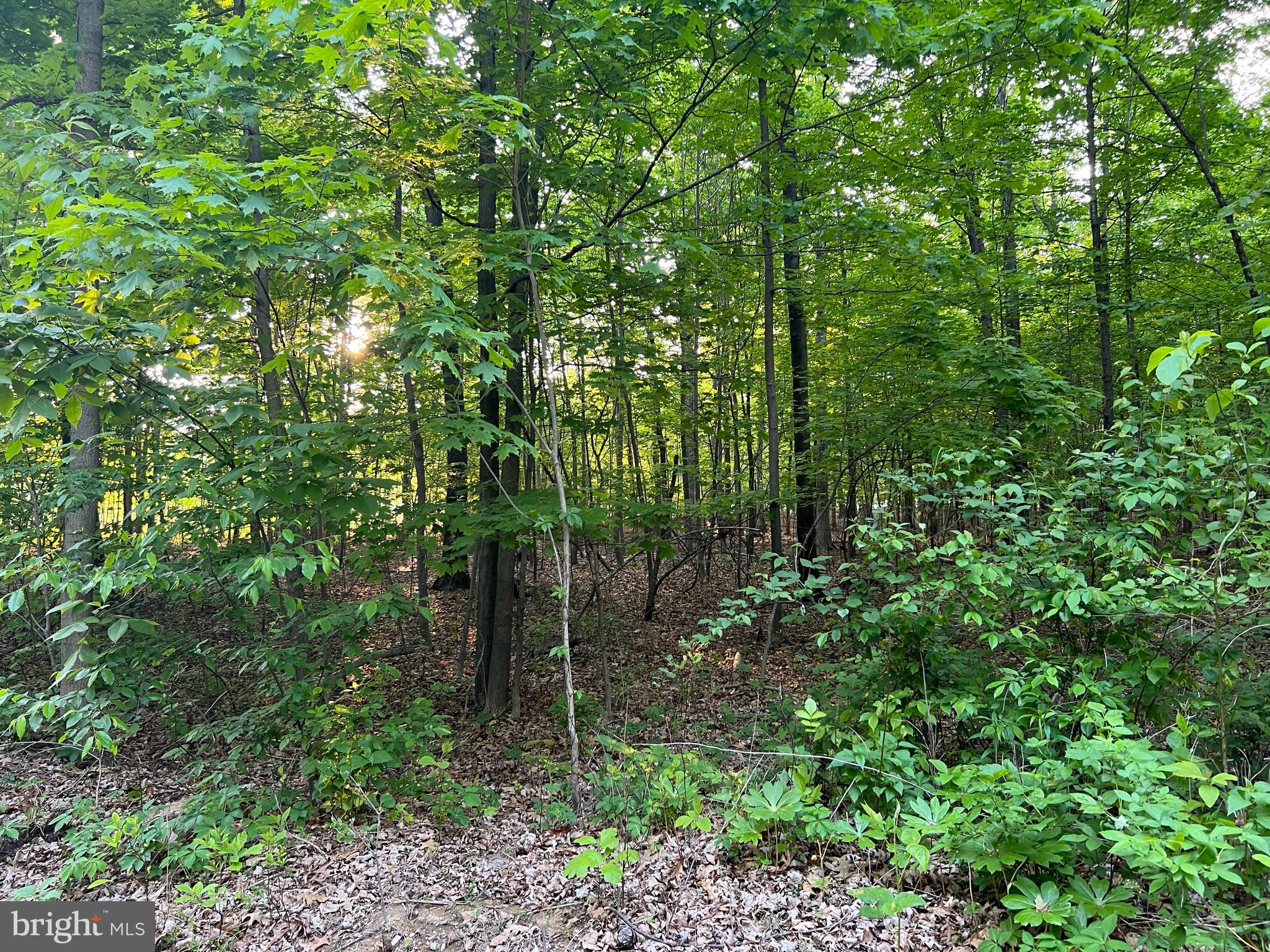 Etter Road Newburg, PA 17240 - Photo 4 of 4 Gallery Image 4