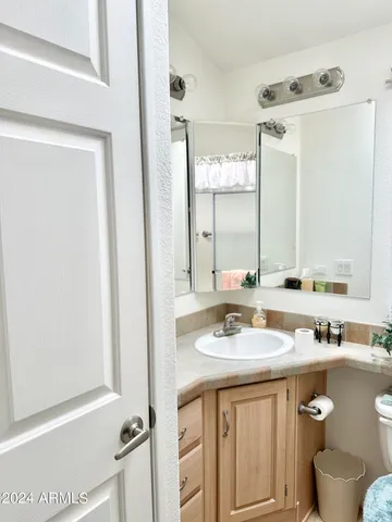 a bathroom with a sink a toilet and a mirror