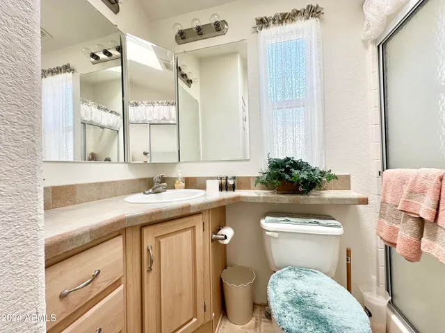 a bathroom with a sink a toilet and mirror