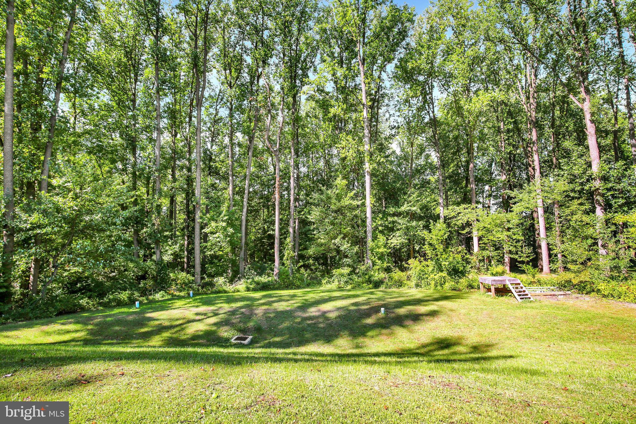 704 Lime Quarry Road Gap, PA 17527 - Photo 28 of 32 3I3A5184