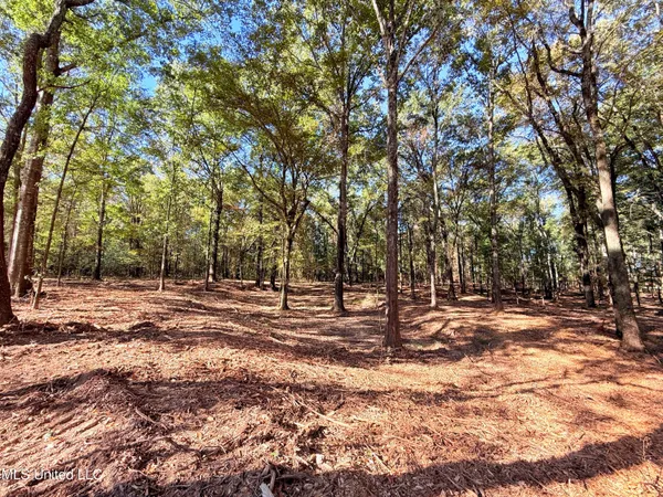 $175,000 | Meadow Lane, Canton, MS 39046