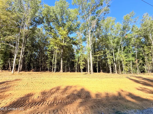 $175,000 | Meadow Lane, Canton, MS 39046