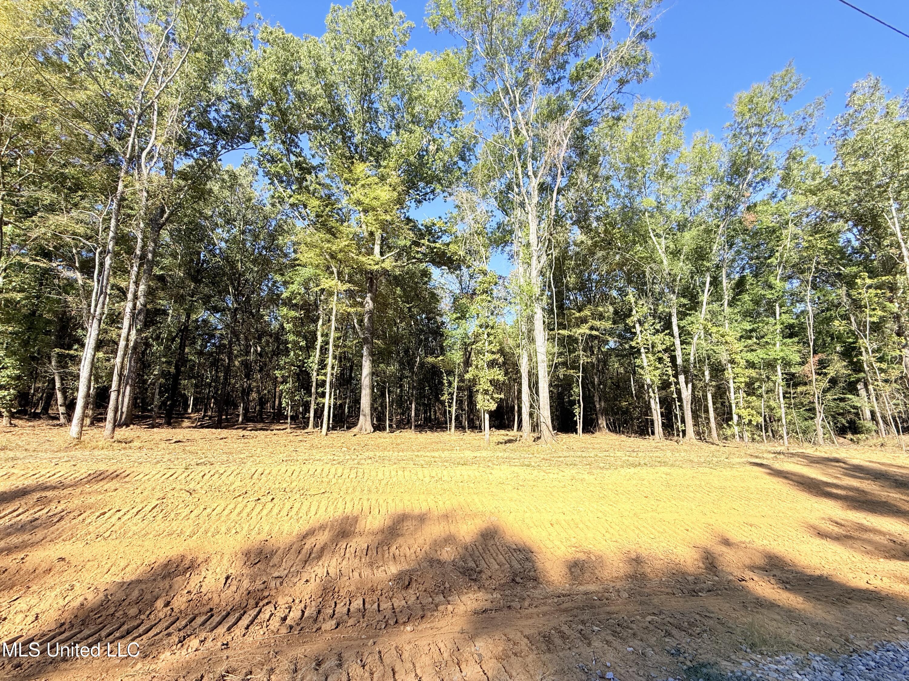 Meadow Lane Canton, MS 39046 - Photo 2 of 27 IMG_0998