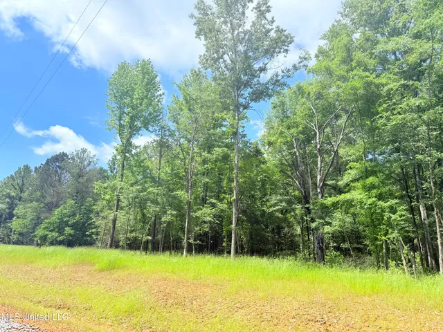 $175,000 | Meadow Lane, Canton, MS 39046