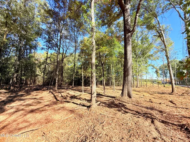 $175,000 | Meadow Lane, Canton, MS 39046