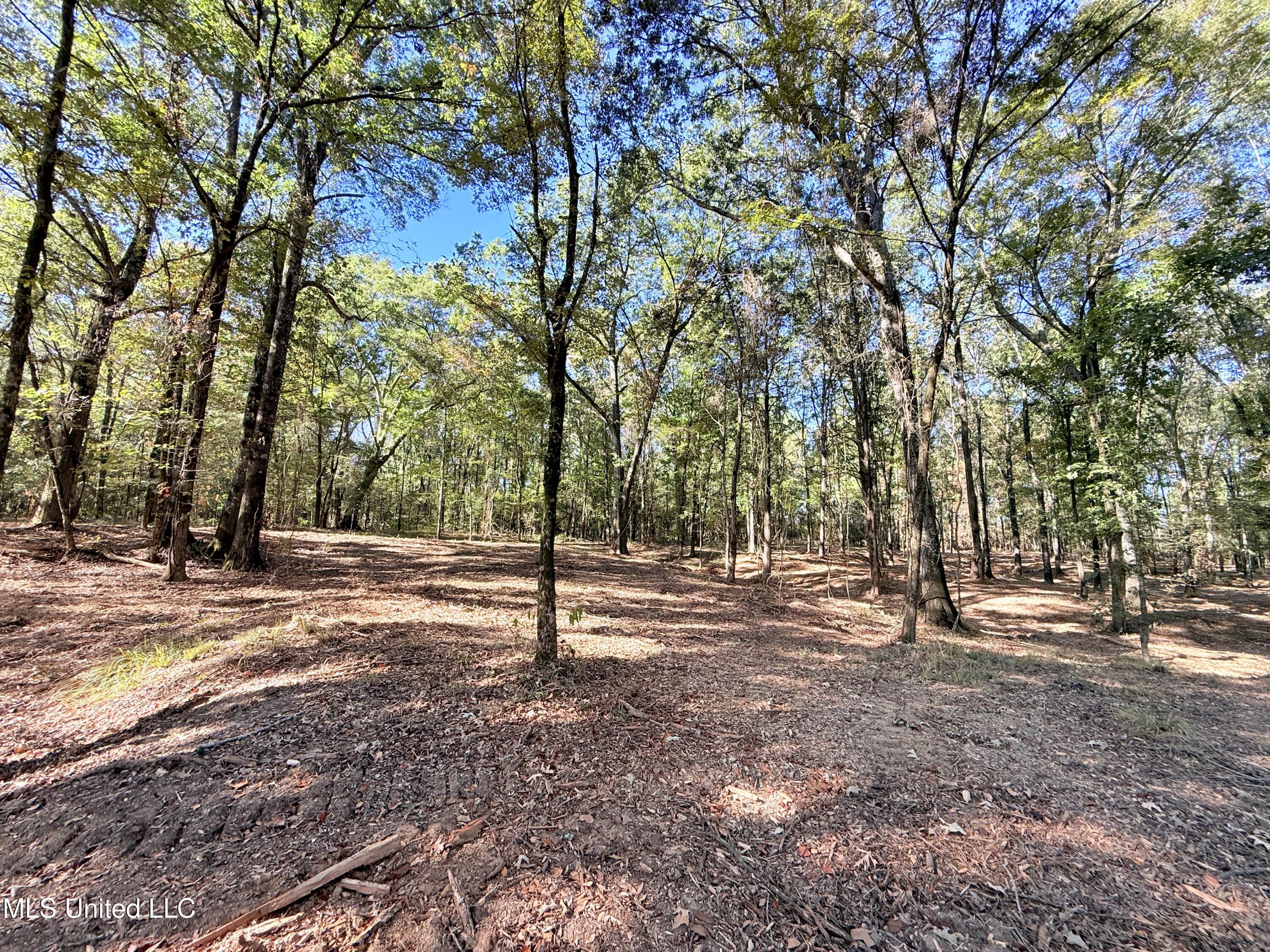 Meadow Lane Canton, MS 39046 - Photo 4 of 27 IMG_1002