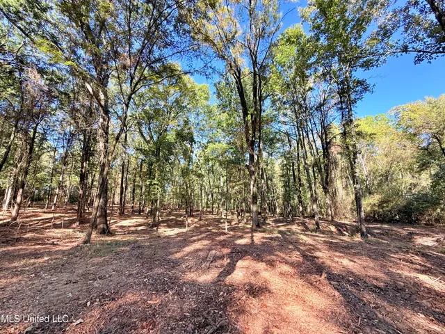 $175,000 | Meadow Lane, Canton, MS 39046