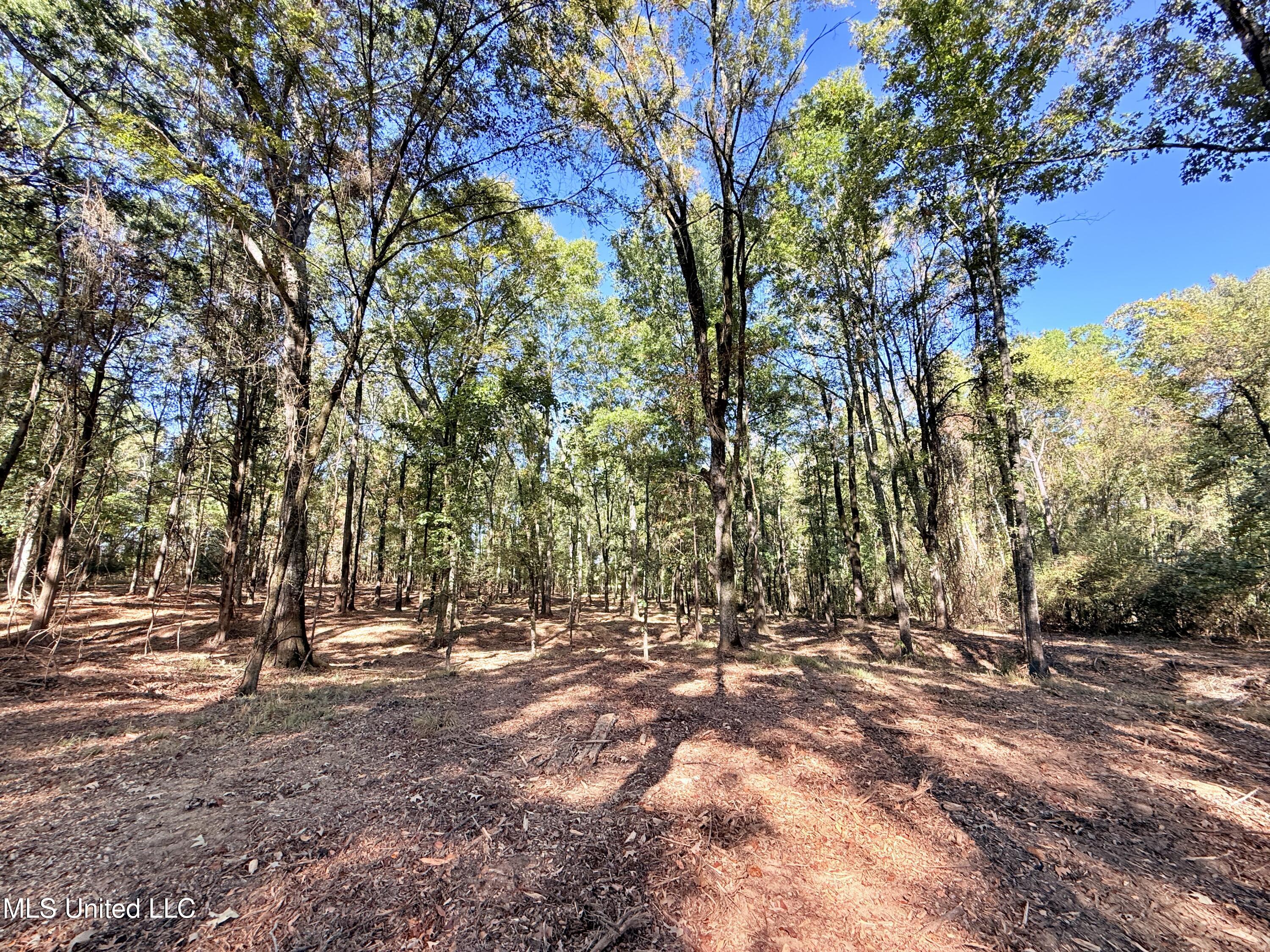 Meadow Lane Canton, MS 39046 - Photo 5 of 27 IMG_1003