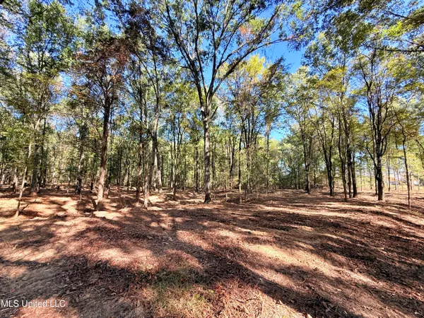 $175,000 | Meadow Lane, Canton, MS 39046