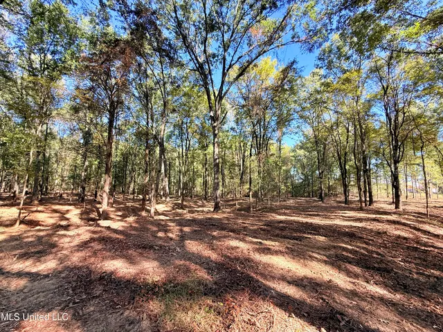 $175,000 | Meadow Lane, Canton, MS 39046