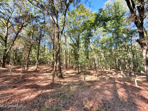 $175,000 | Meadow Lane, Canton, MS 39046