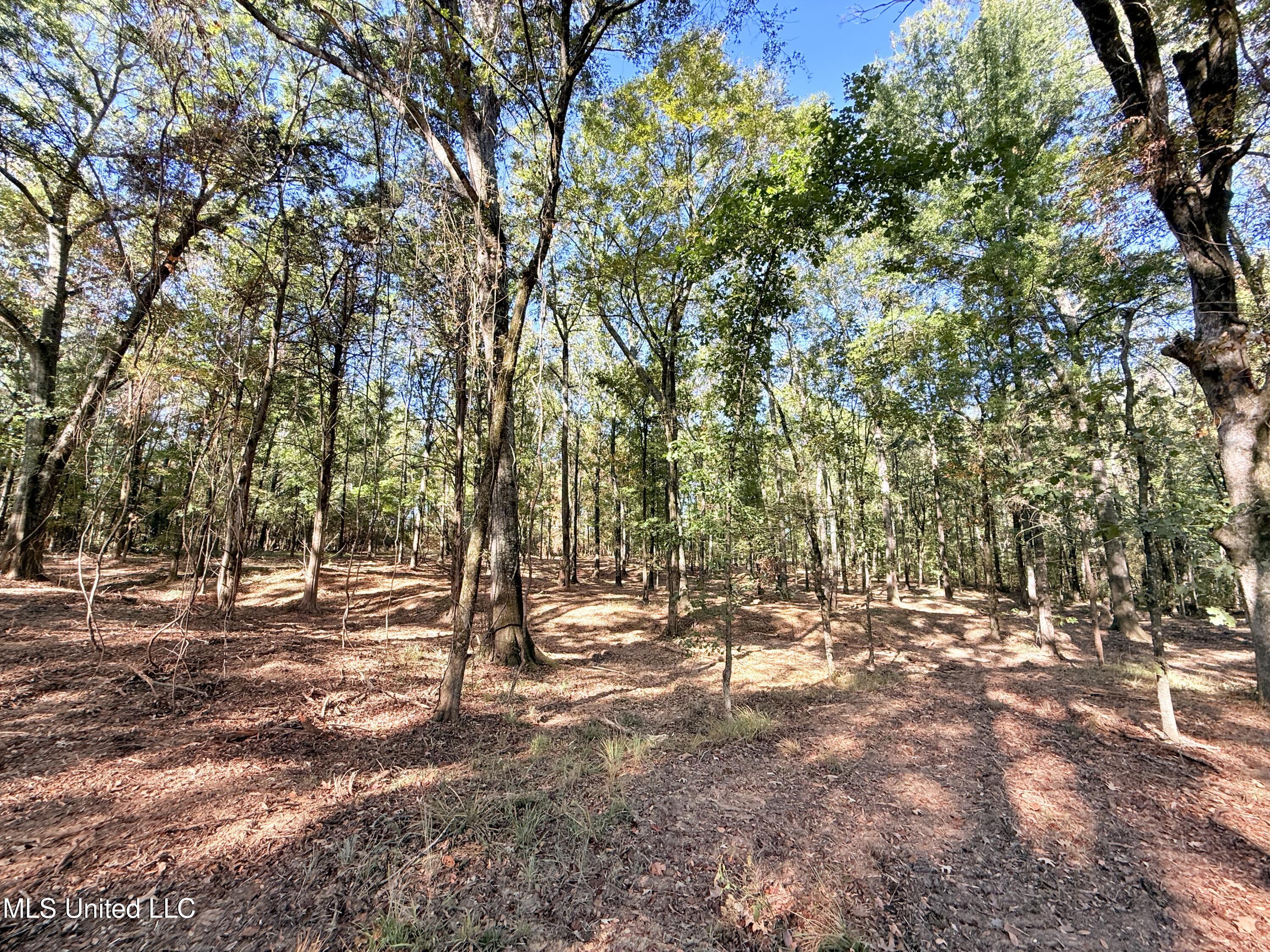 Meadow Lane Canton, MS 39046 - Photo 7 of 27 IMG_1004