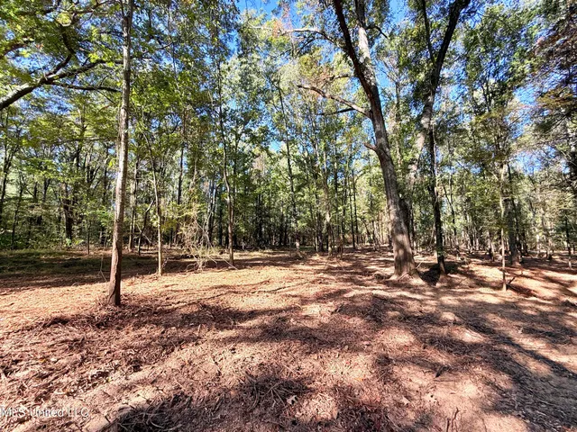 $175,000 | Meadow Lane, Canton, MS 39046